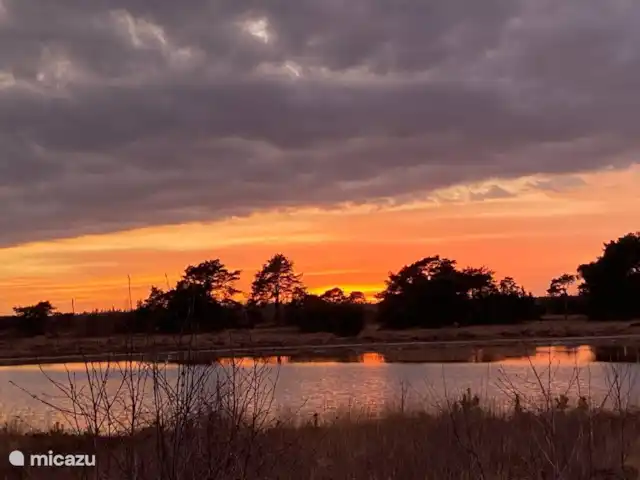 Location de Vacances Pays-Bas, Overijssel, Ommen, maison de vacances - Beerze extraordinaire Coucher de soleil