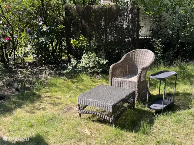 Location de Vacances Pays-Bas, Overijssel, Ommen, maison de vacances - Beerze extraordinaire Espace lecture jardin