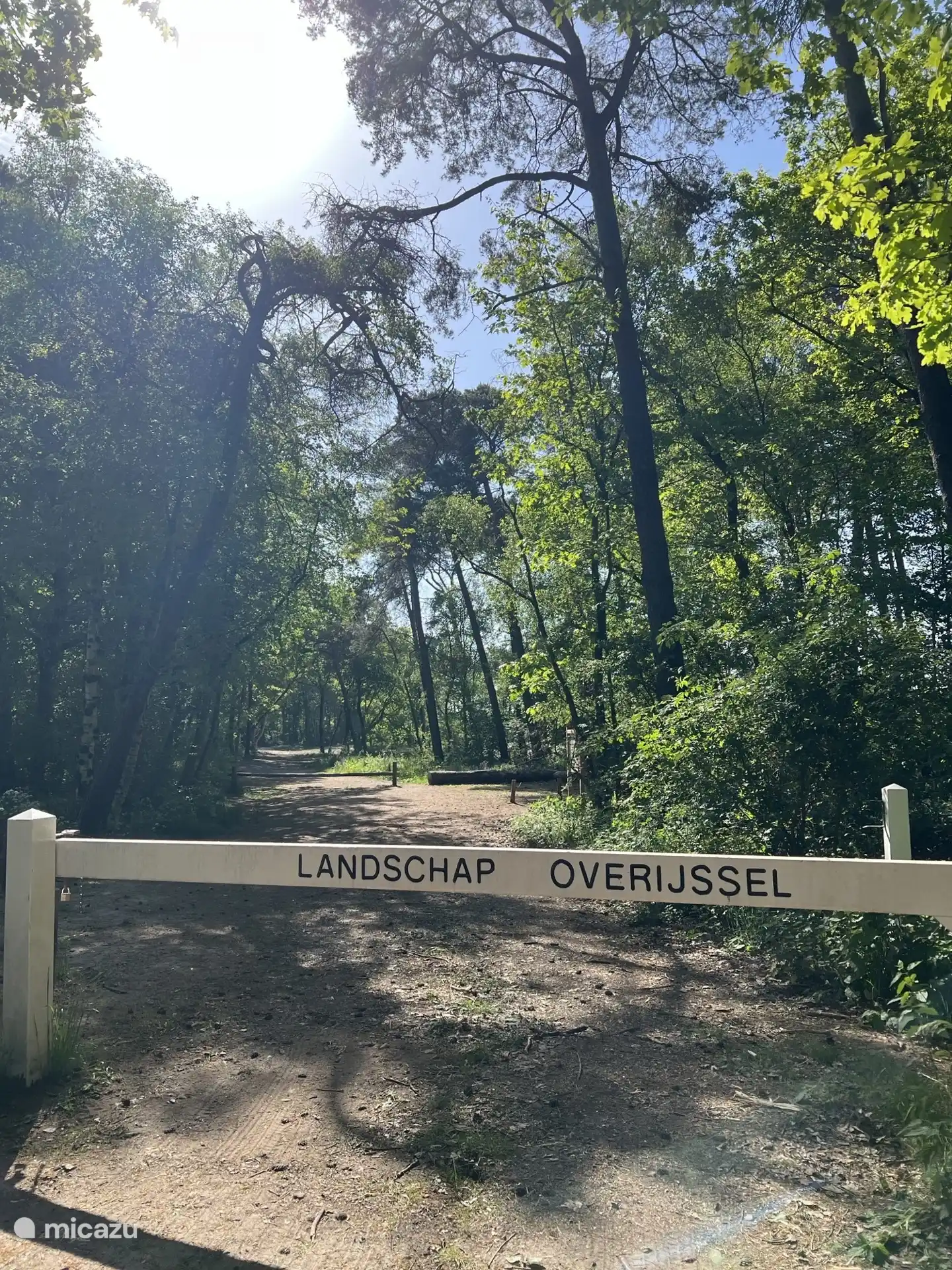 Landschaft in der Umgebung