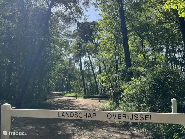 Location de Vacances Pays-Bas, Overijssel, Ommen, maison de vacances - Beerze extraordinaire Paysage dans la région