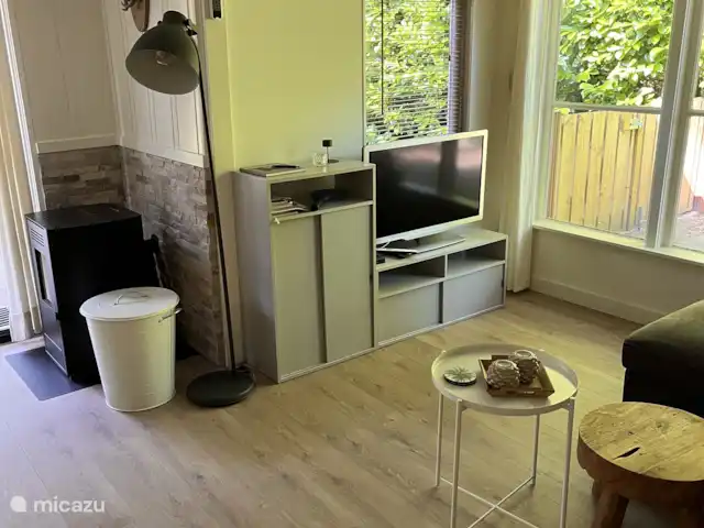 Location de Vacances Pays-Bas, Overijssel, Ommen, maison de vacances - Beerze extraordinaire Coin TV