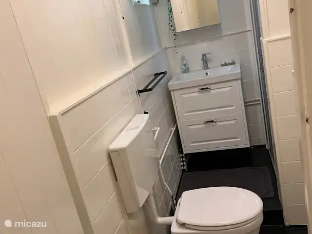 Location de Vacances Pays-Bas, Overijssel, Ommen, maison de vacances - Beerze extraordinaire Meubles de toilettes et de salle de bains