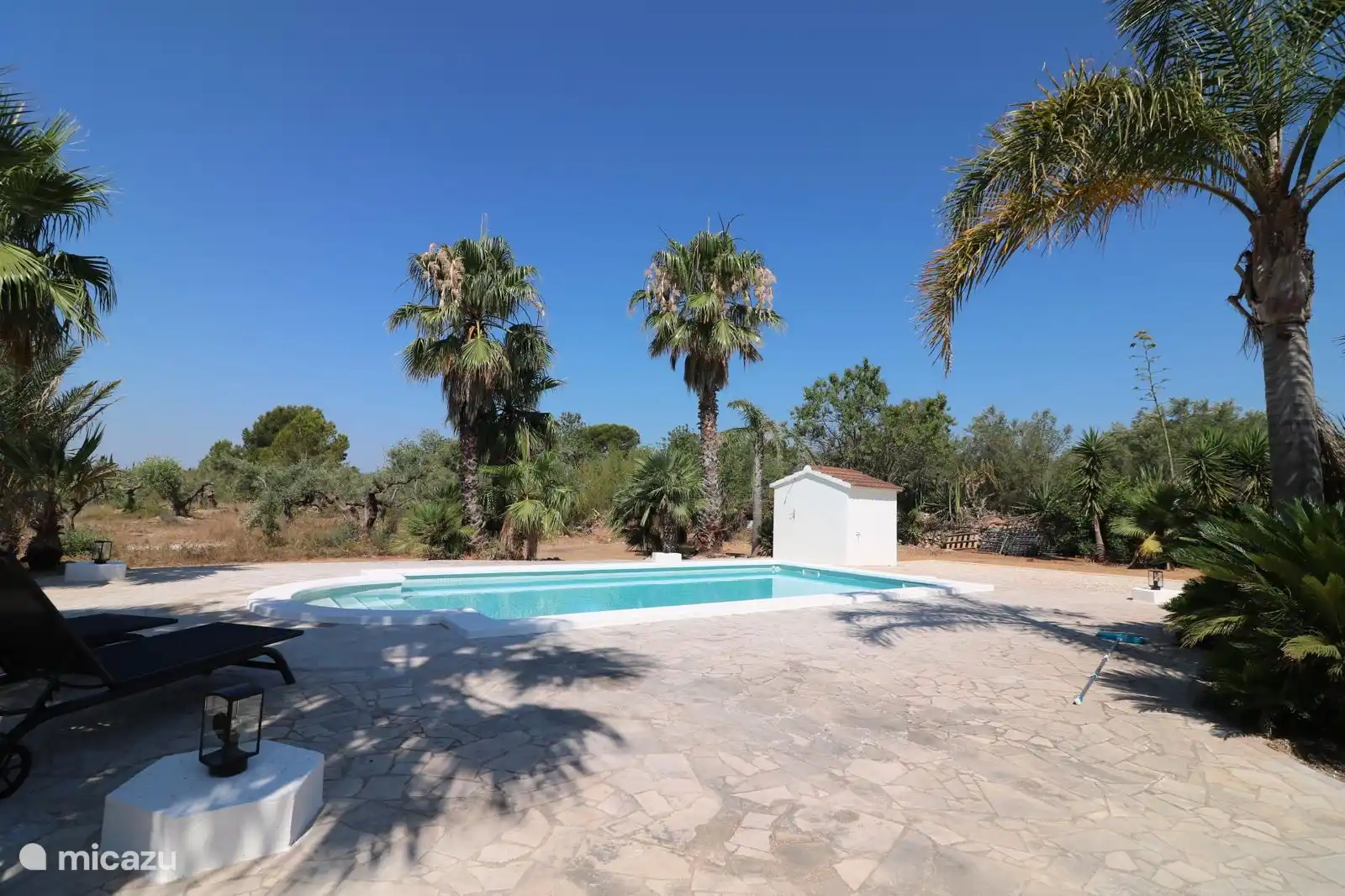 Piscina con amplia terraza