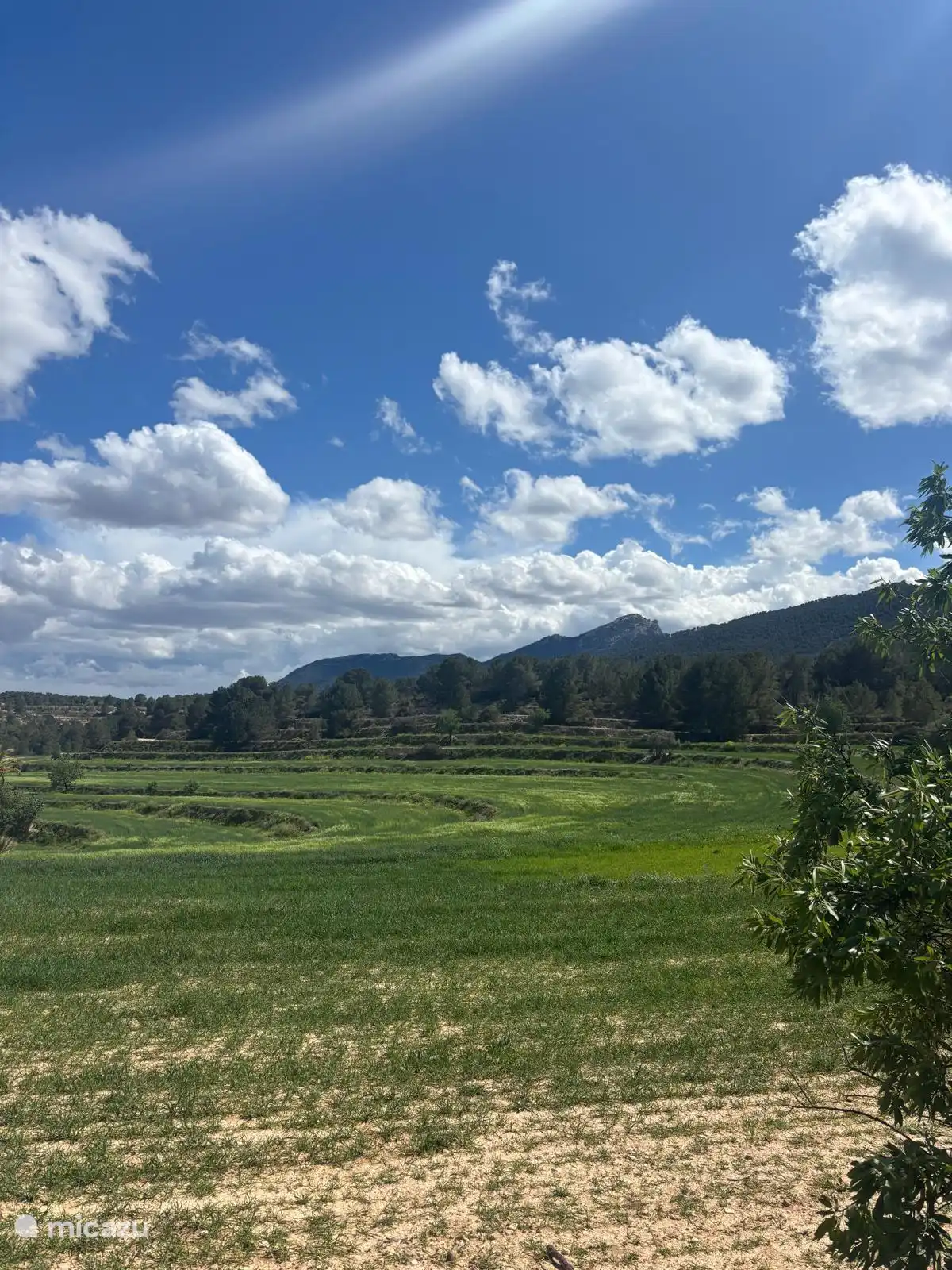Meadow area with terrace