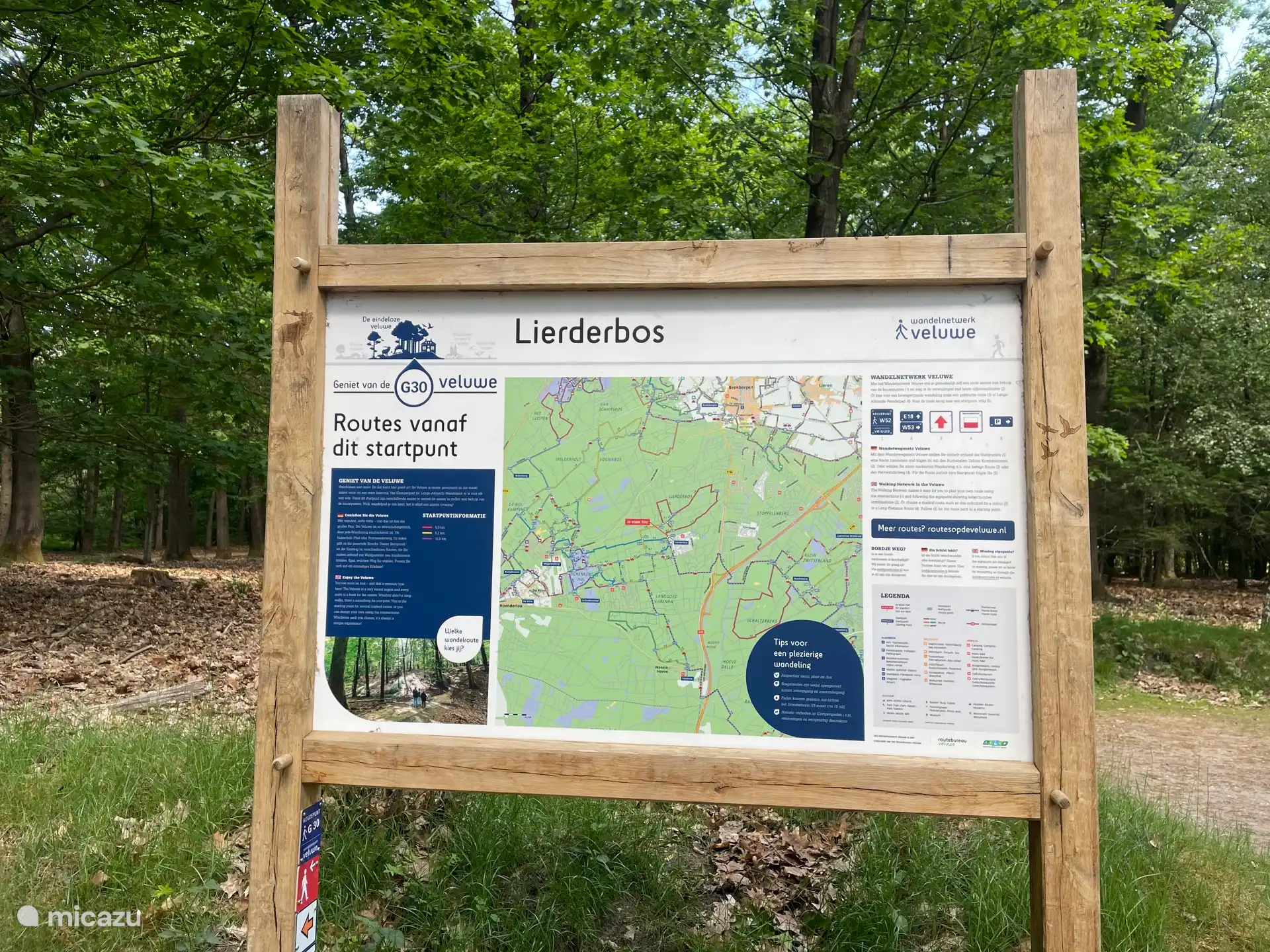 Beautiful hiking trails directly from the place