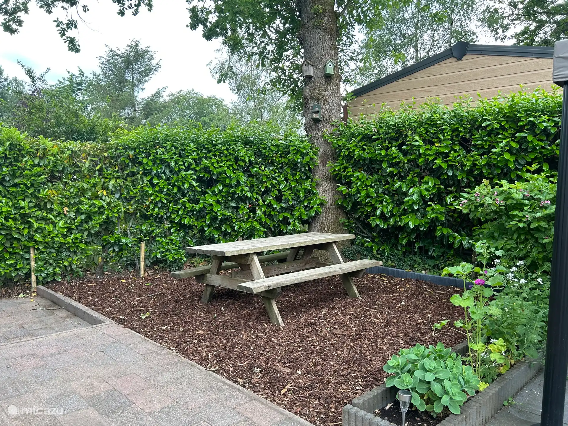 Extra seating space at the picnic table under the tree