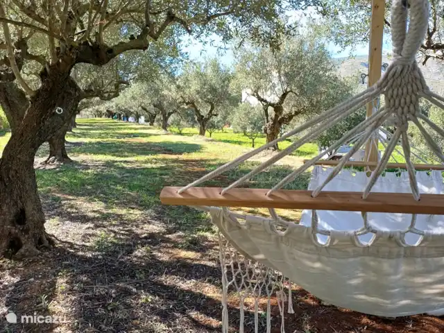 Location de Vacances Espagne, Costa de Valencia, Ontinyent, chambres d'hôtes - Casa Vitalidad Hamacs dans l’oliveraie