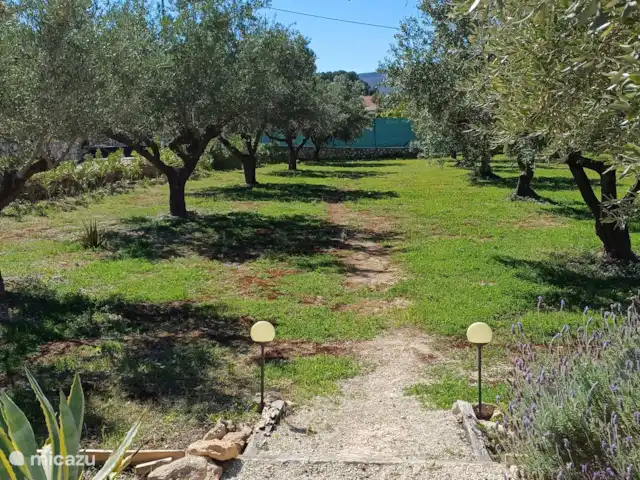 Location de Vacances Espagne, Costa de Valencia, Ontinyent, chambres d'hôtes - Casa Vitalidad jardin