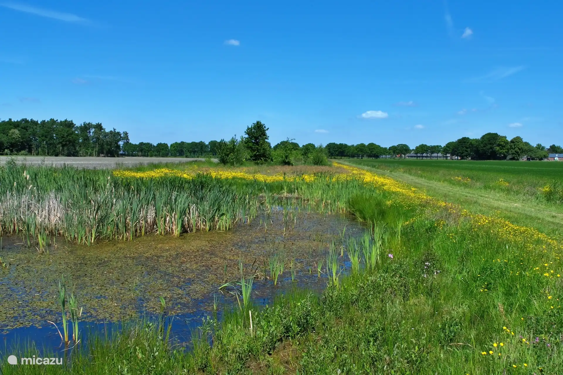 Wandern entlang der Piste