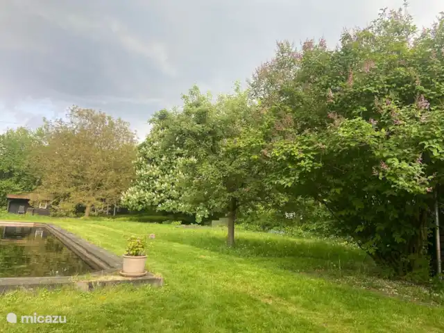 Woutershof  | Pays-Bas, Gueldre, Ede - maison de vacances Arrière-cour