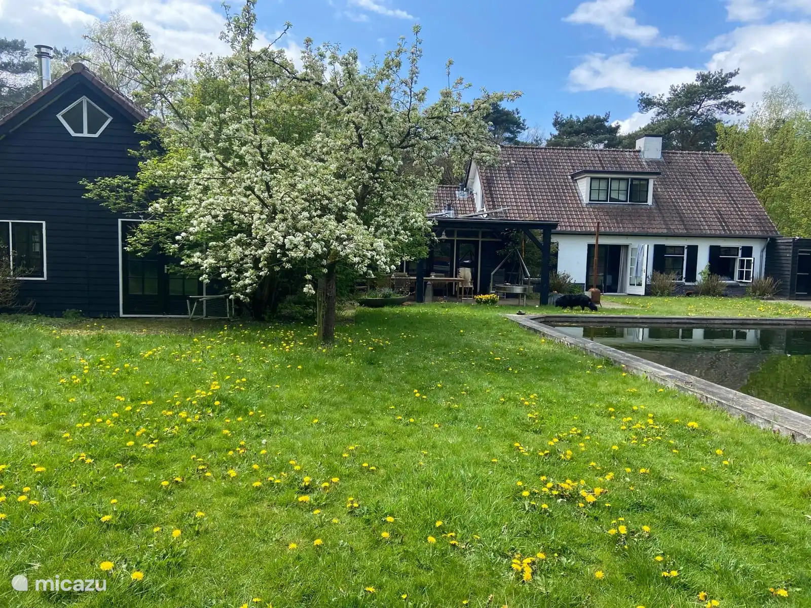 vakantiehuis huren in Arnhem, Gelderland, Nederland - Woutershof 