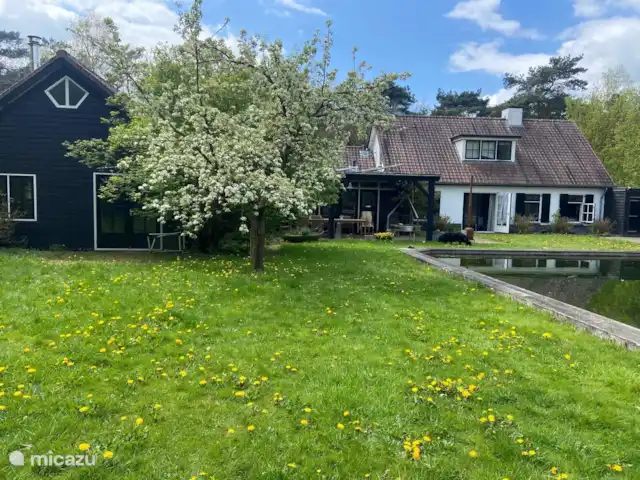 Woutershof  | Pays-Bas, Gueldre, Ede - maison de vacances Woutershof  | Pays-Bas, Gueldre, Ede - maison de vacances