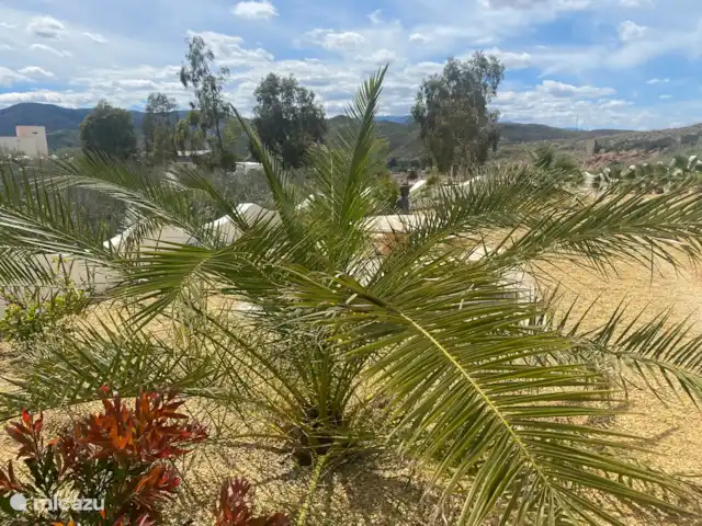 Cortijo Los Corazones | Espagne, Andalousie, Cantoria - maison de vacances
