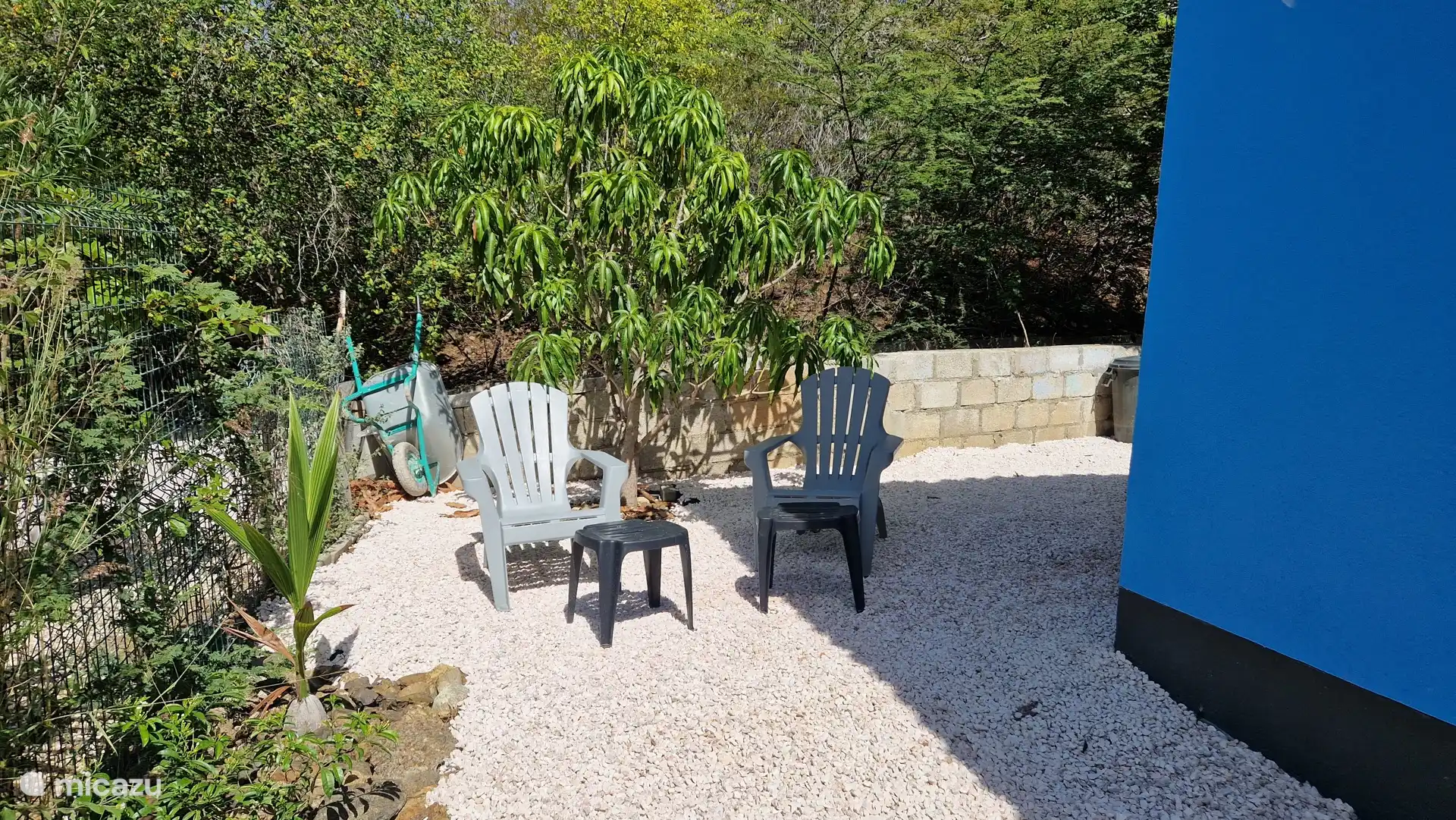 Asseyez-vous derrière la maison près du manguier