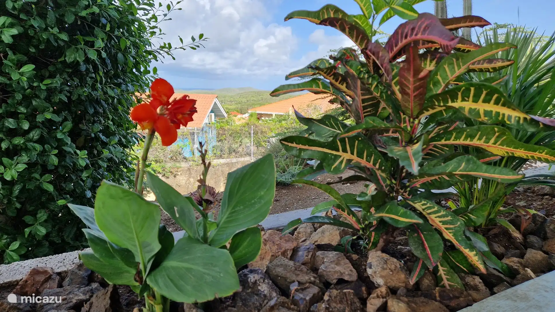 Véranda avec maintenant des plantes tout autour pour une sensation plus confortable