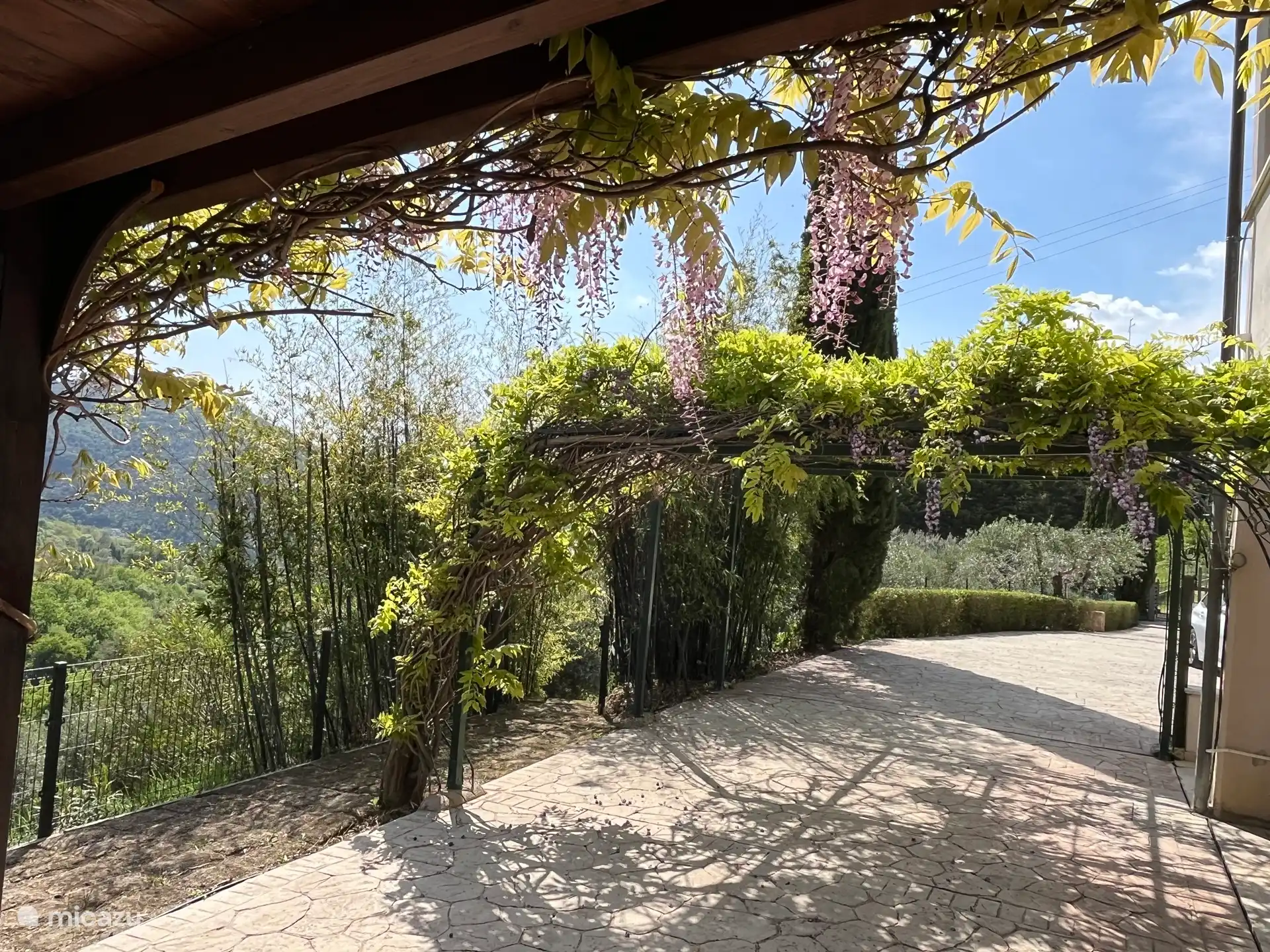 The patio with the beautiful glicine