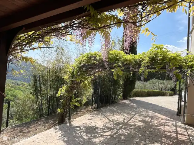Casa Glicine | Italie, Le Latium, Castelnuovo di Farfa - maison de vacances Le patio avec le beau glicine
