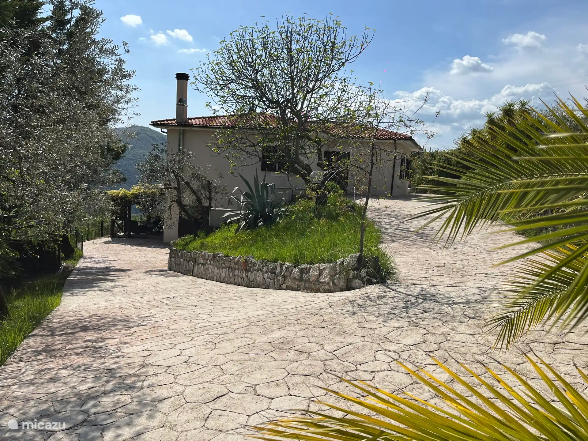 View of the back of the house 