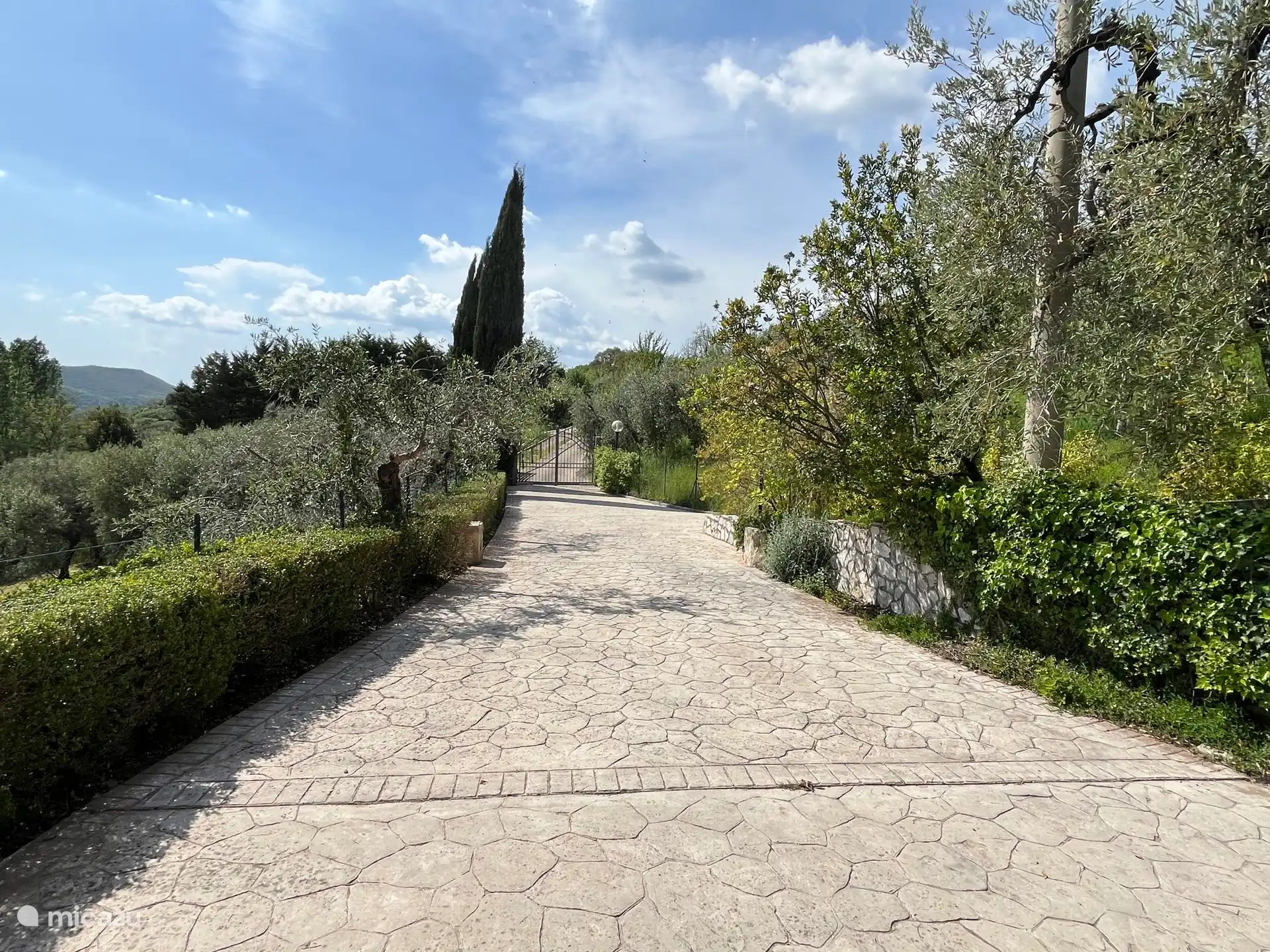 Private beautiful access road to the property