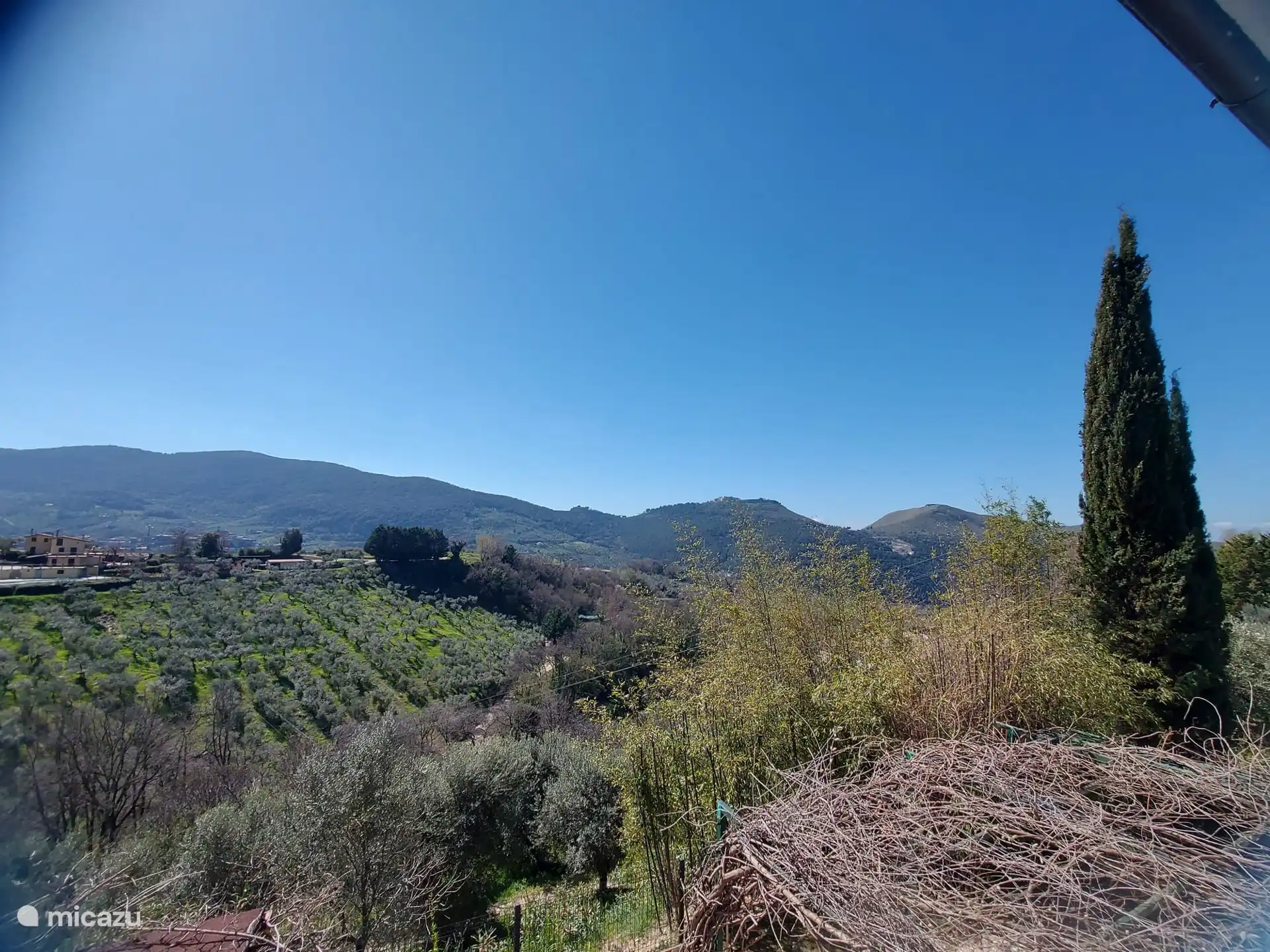 View of the surroundings