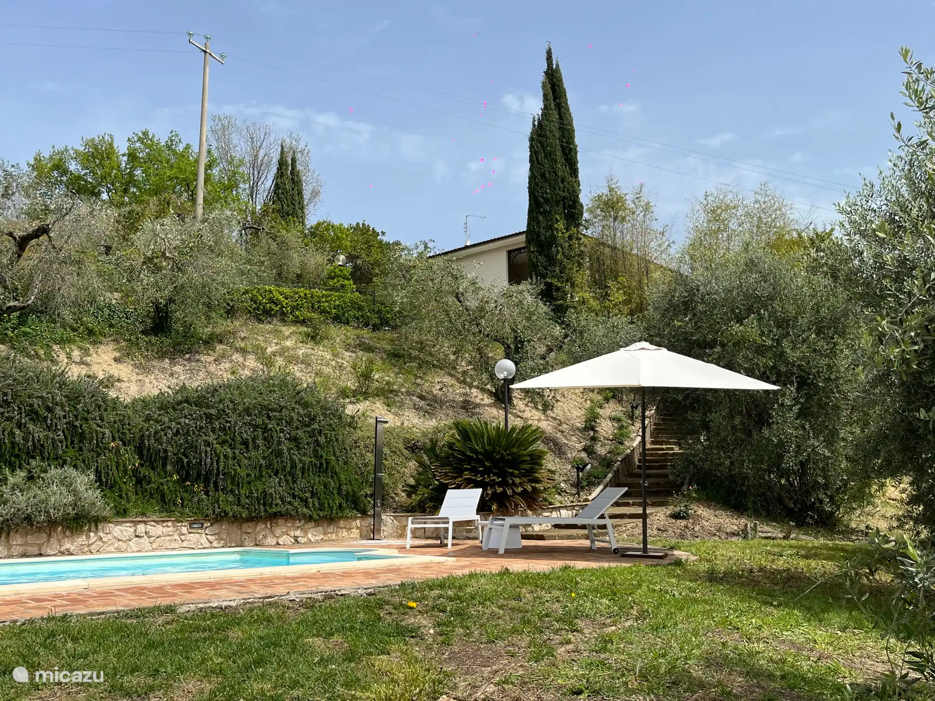 View of the pool and the house