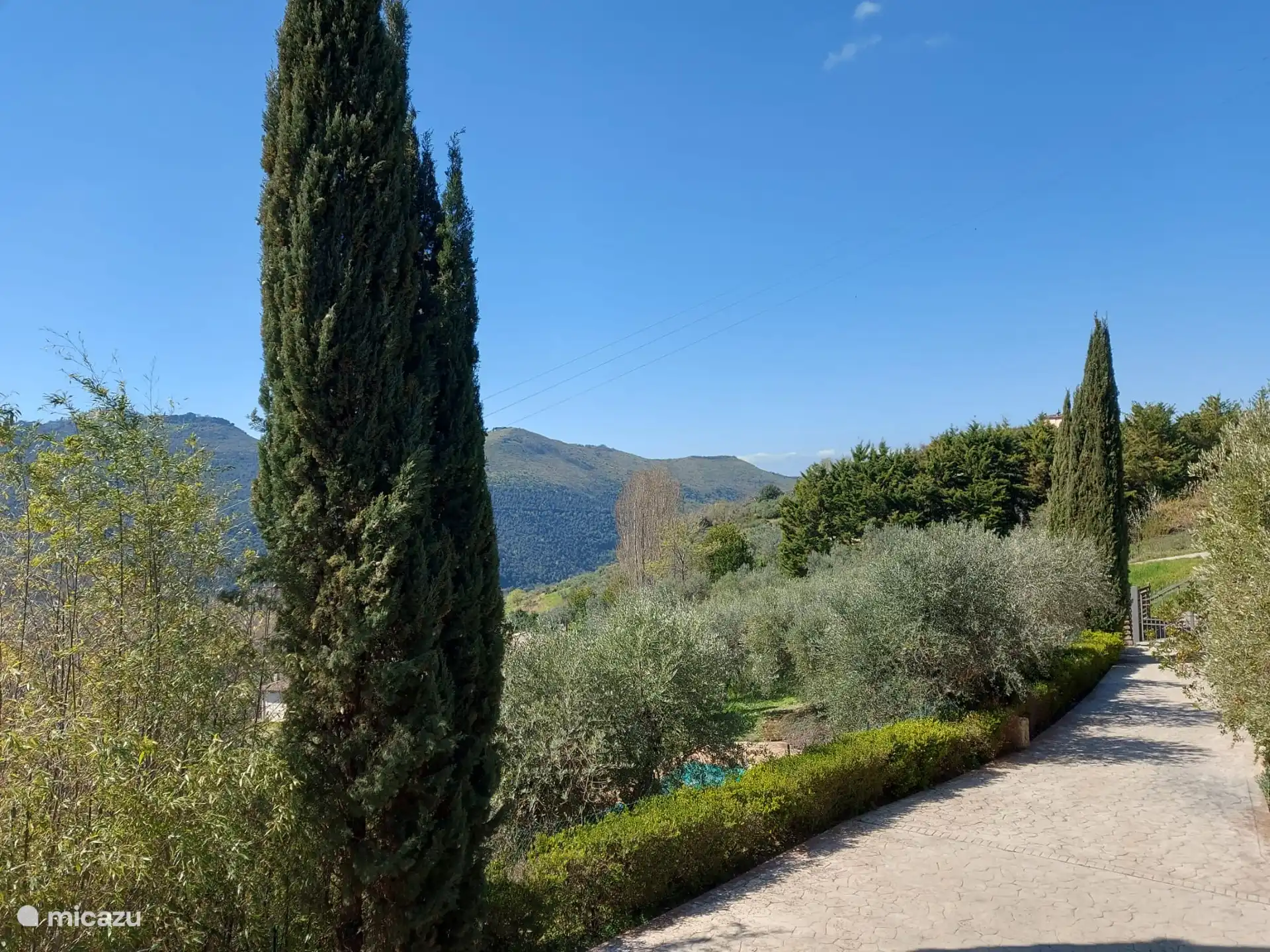 The beautiful driveway to the house with beautiful views