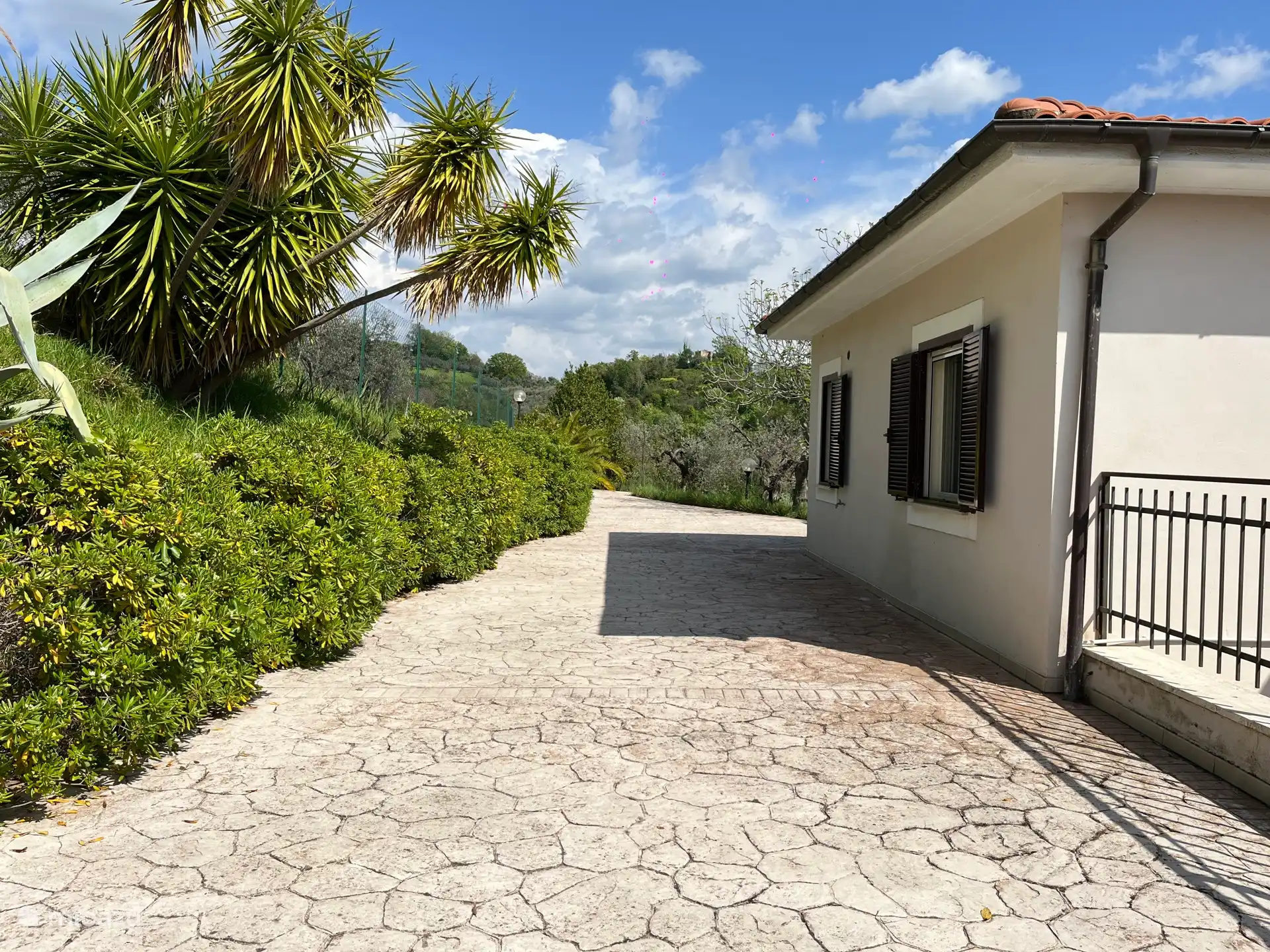 Top of the house with private access