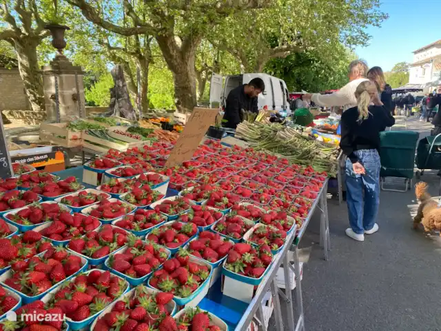 Villa Rose | France, Gard, Barjac - maison de ville marché
