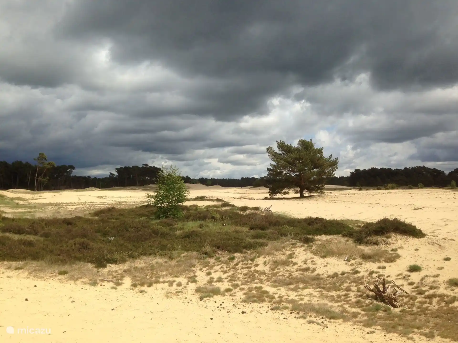 Sandverwehung - Wekerom Sand