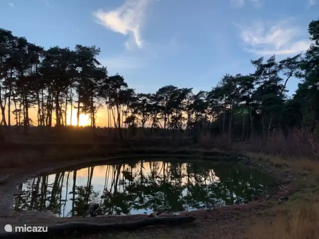 La Casa del Bosque en Países Bajos, Güeldres, Ede - casa vacacional Ven - Wekeromse Zand