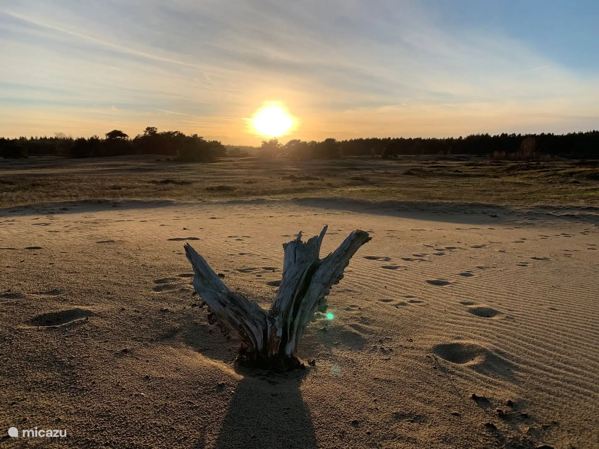 Sandverwehung - Wekeromse Zand
