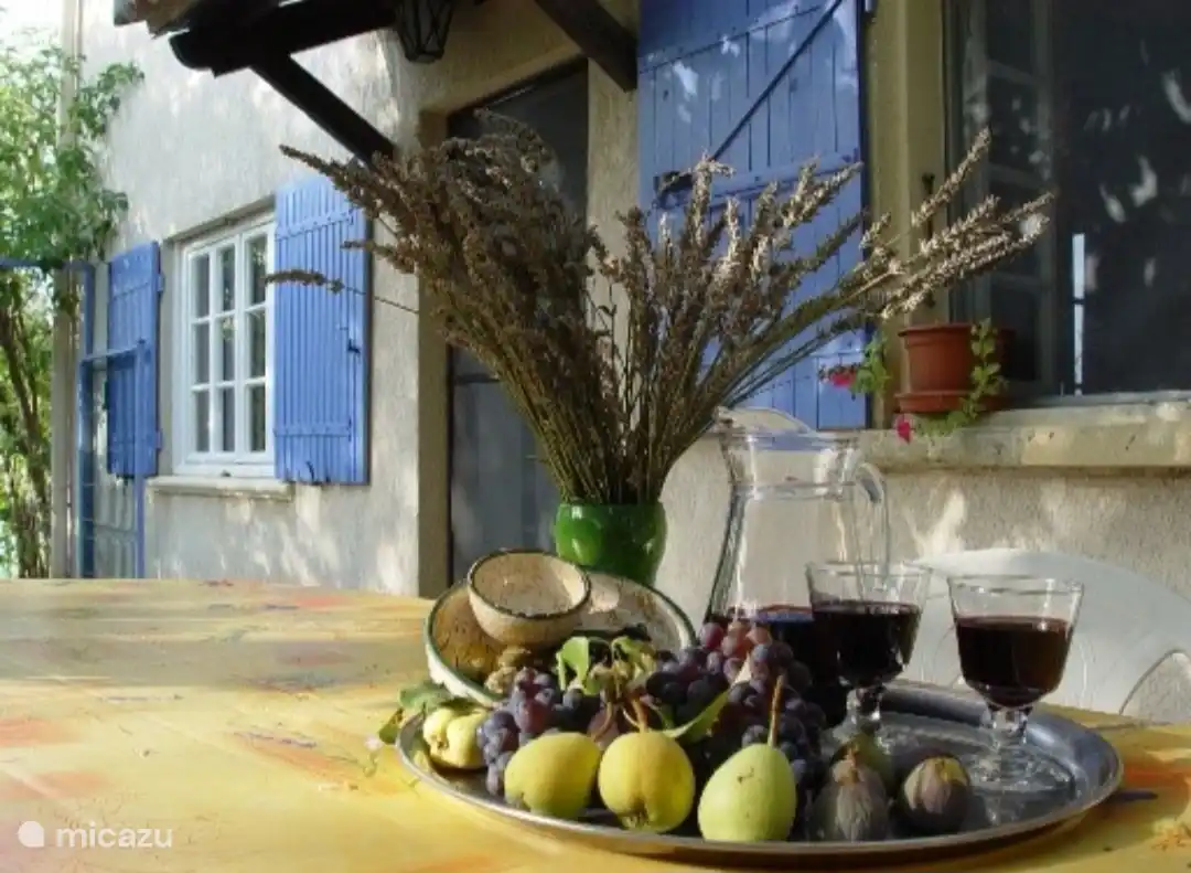 Genießen Sie einen Aperitif auf der Südterrasse