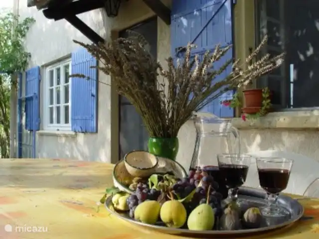Descanso vacacional en Francia, Gard, Salazac  - casa vacacional Disfruta de un aperitivo en la terraza sur