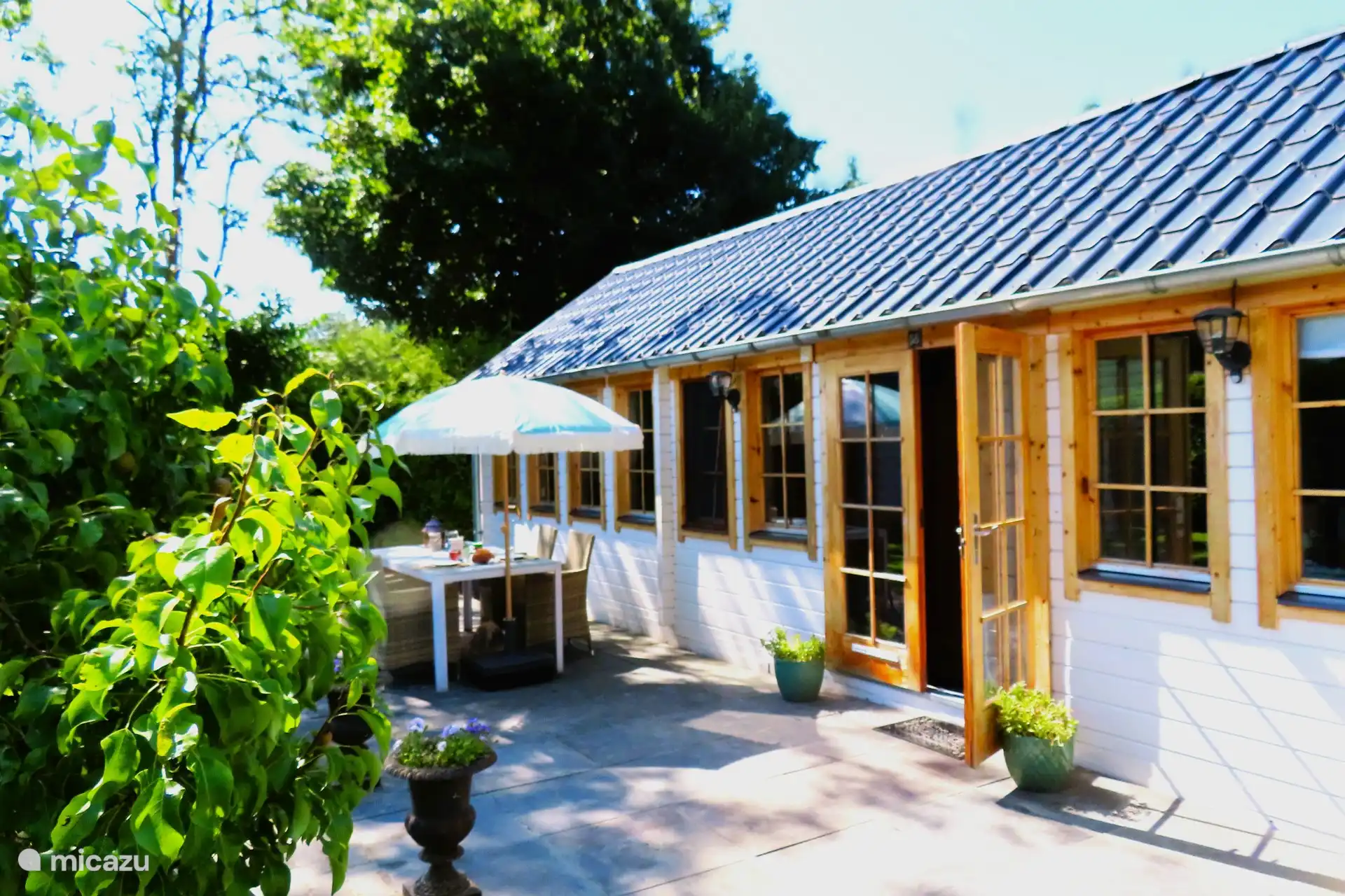 Winziges botanisches Haus