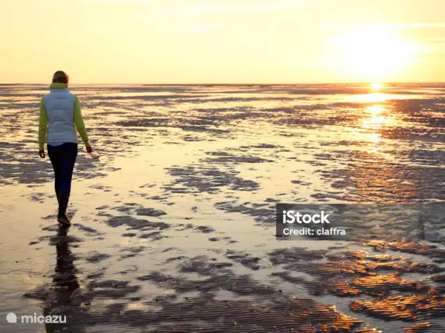 Petite maison botanique | Pays-Bas, Frise, Tzummarum - cabane en bois / lodge Mer des Wadden, à 2 km de Tzumarrum, belle promenade.