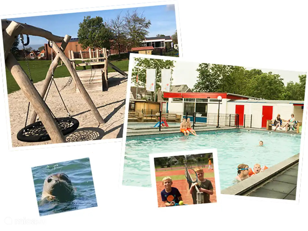 Kostenloses Schwimmbad