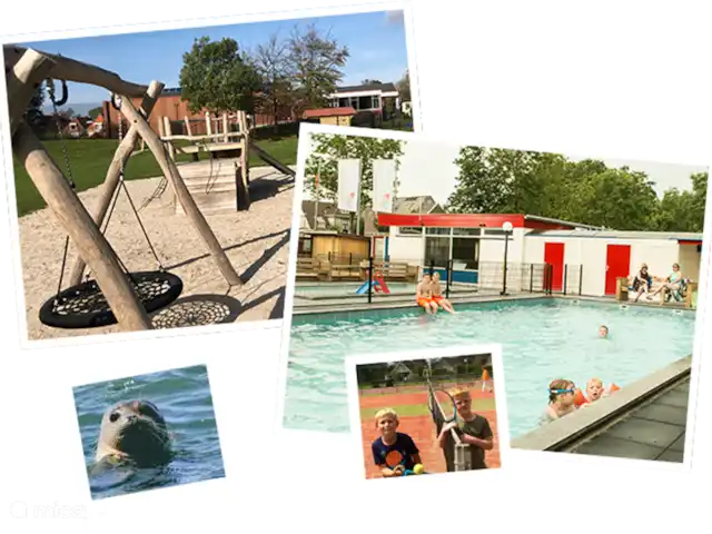 Petite maison botanique | Pays-Bas, Frise, Tzummarum - cabane en bois / lodge Piscine gratuite