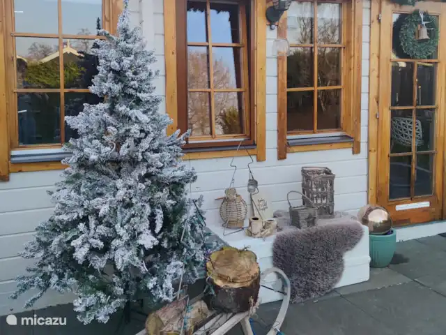 Petite maison botanique | Pays-Bas, Frise, Tzummarum - cabane en bois / lodge Du 01-11 au 31-01, nous transformerons la maison en Tiny Christmas House !