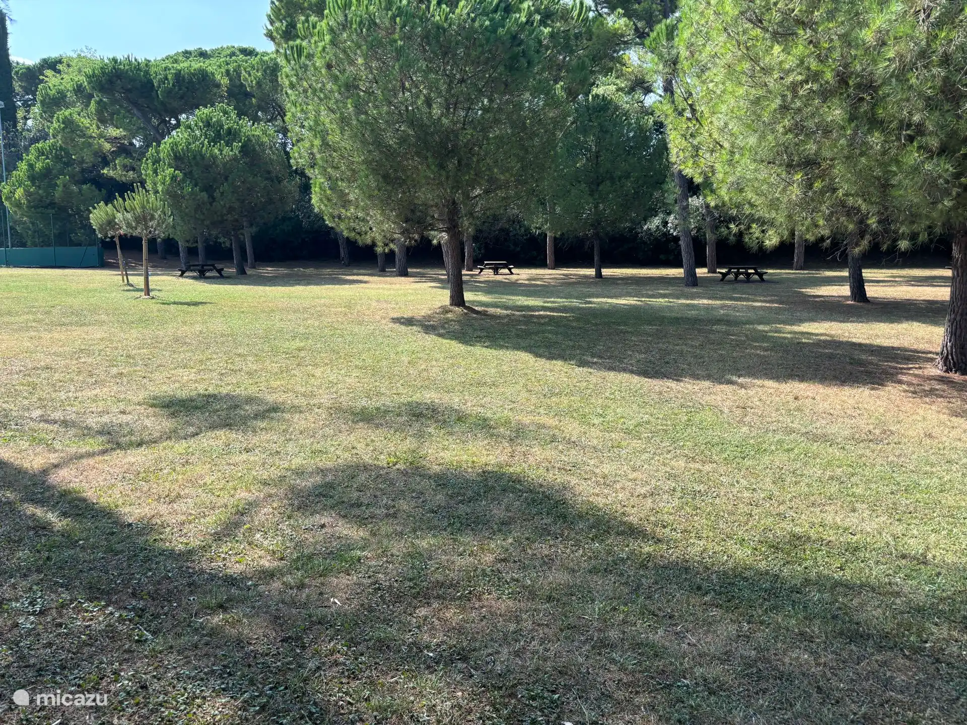 Gran campo de picnic o de juego