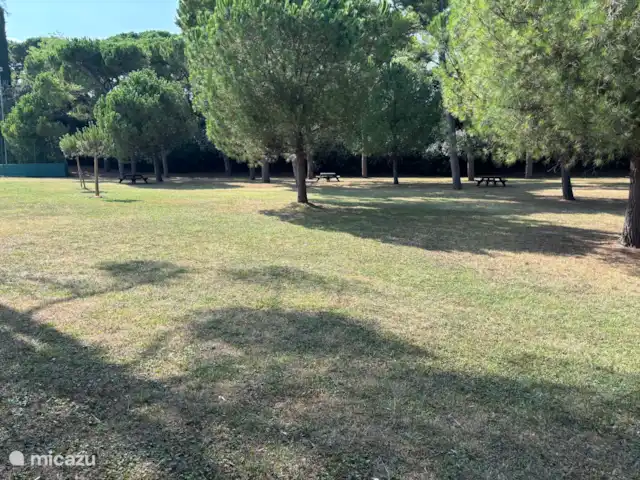 Appartement Gardazzuro | Italie, Lacs italiens , Padenghe Sul Garda - appartement Grand terrain de pique-ou de jeu