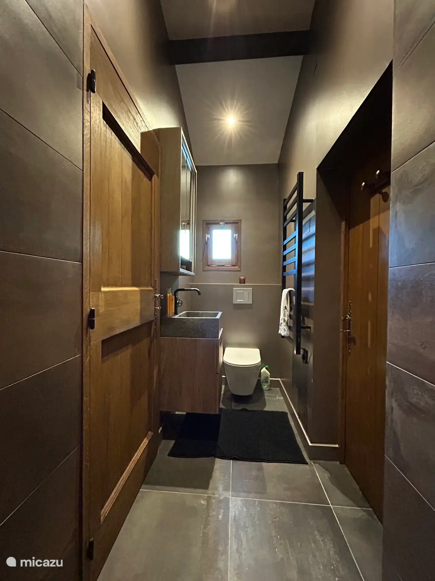 Luxury toilet with washbasin