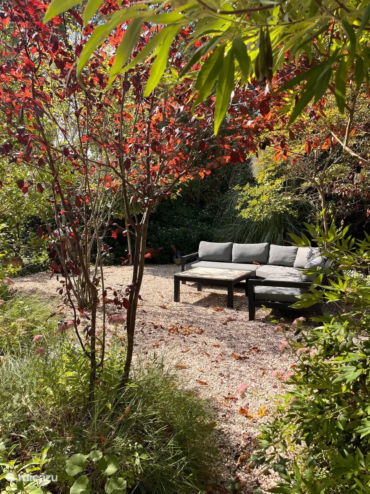 Lounging in the garden.