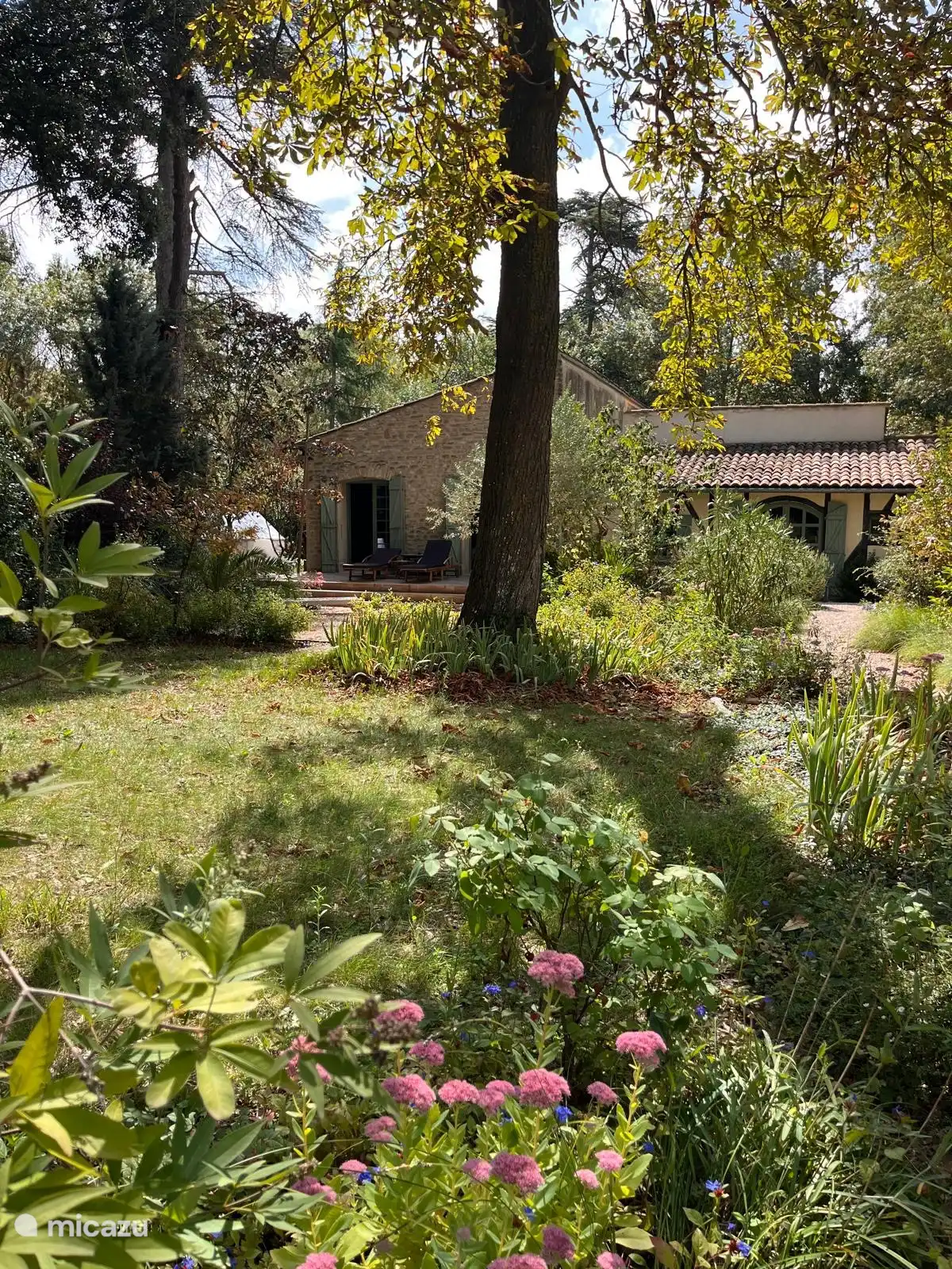 Very spacious garden.