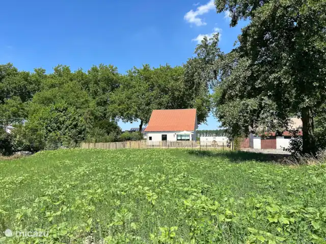 casa vacacional en Países Bajos, Zelanda, Philippine – Polderhuis Moderno Filipinas Mezcla de flores sembrada detrás de la casa. Hermosos girasoles de agosto