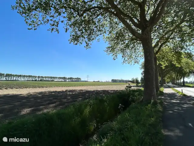 casa vacacional en Países Bajos, Zelanda, Philippine – Polderhuis Moderno Filipinas Vista del pólder desde la sala de estar