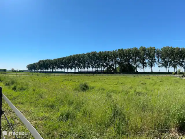 casa vacacional en Países Bajos, Zelanda, Philippine – Polderhuis Moderno Filipinas Vista del jardín del pólder
