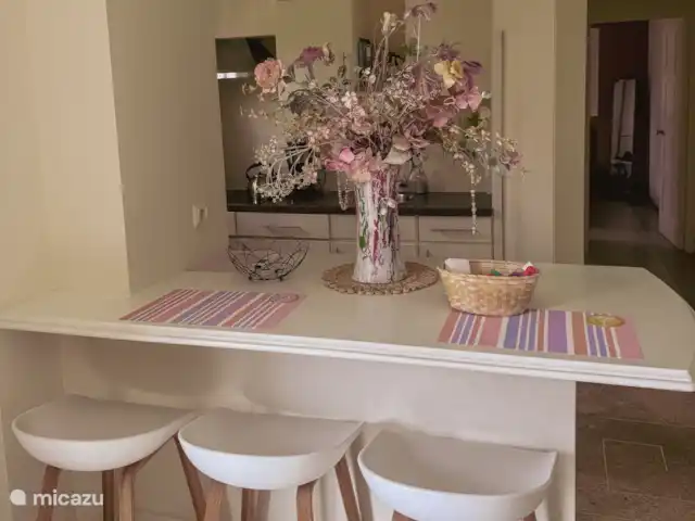 Séjour à Dushi | Curaçao, Curaçao-Centre, Willemstad - appartement Cuisine