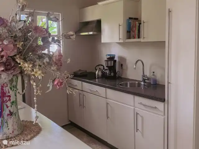 Séjour à Dushi | Curaçao, Curaçao-Centre, Willemstad - appartement Cuisine