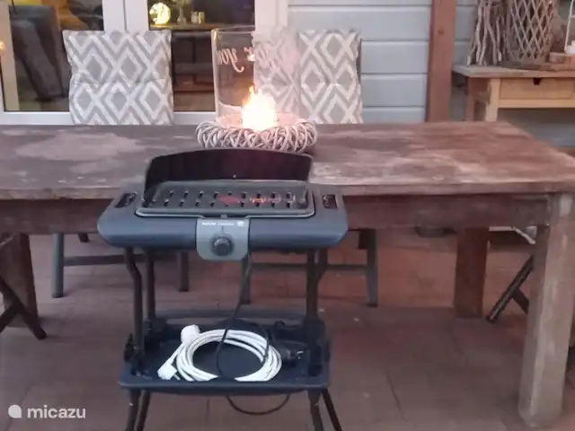 Sereno en Países Bajos, Güeldres, Hoenderloo - chalet Barbacoa eléctrica disponible