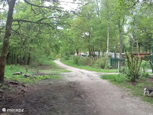 Sereno en Países Bajos, Güeldres, Hoenderloo - chalet Bosque directamente en el parque